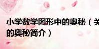 小學數學圖形中的奧秘(關于小學數學圖形中的奧秘簡介)