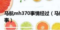 馬航mh370事情經過(馬航mh370哪年出的事)