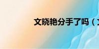 文曉艷分手了嗎(文曉艷)