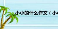 小小的什么作文(小小的什么)