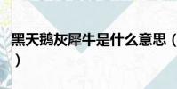 黑天鵝灰犀牛是什么意思(灰犀牛是什么意思)