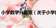 小學數學興趣班(關于小學數學興趣班簡介)