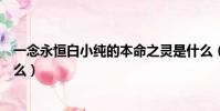一念永恒白小純的本命之靈是什么(白小純的本命之靈是什么)