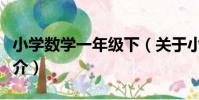 小學數學一年級下(關于小學數學一年級下簡介)