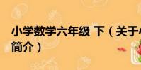小學數學六年級 下(關于小學數學六年級 下簡介)