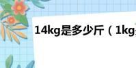 14kg是多少斤(1kg是多少斤)
