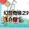 幻世奇緣之葉落紛飛（關于幻世奇緣之葉落紛飛介紹）