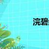 浣碧結局視頻（浣碧結局）