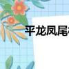 平龍鳳尾村（關于平龍鳳尾村介紹）
