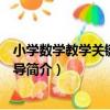 小學數學教學關鍵問題指導（關于小學數學教學關鍵問題指導簡介）