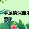 手足情深血濃于水什么意思（血濃于水什么意思）
