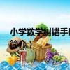 小學數學糾錯手冊 六年級（關于小學數學糾錯手冊 六年級簡介）