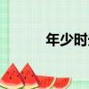 年少時光（關于年少時光介紹）