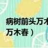 病樹前頭萬木春的病什么意思（什么病樹前頭萬木春）