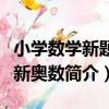 小學數學新題型新奧數（關于小學數學新題型新奧數簡介）