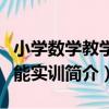 小學數學教學技能實訓（關于小學數學教學技能實訓簡介）