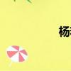 楊若男微博（楊若男）