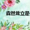 森然聳立是什么意思（聳立是什么意思）
