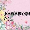 小學數學核心素養教學論（關于小學數學核心素養教學論簡介）
