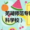 蕪湖師范專科學校分數線2020（蕪湖師范專科學校）