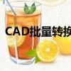 CAD批量轉換成PDF（cad批量轉換成pdf）