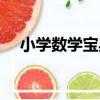 小學數學寶典（關于小學數學寶典簡介）