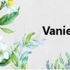 Vanie是什么意思（vanies）
