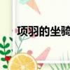 項羽的坐騎叫什么名字?（項羽的坐騎）