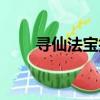 尋仙法寶技能怎么煉化（尋仙法寶）