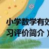 小學數學有效學習評價（關于小學數學有效學習評價簡介）