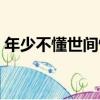 年少不懂世間情（關于年少不懂世間情介紹）