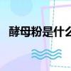 酵母粉是什么東西做成的（酵母粉是什么）