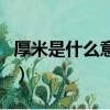 厚米是什么意思啊比喻什么（厚米是什么意思）