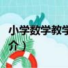 小學數學教學全書（關于小學數學教學全書簡介）
