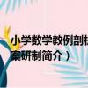 小學數學教例剖析與教案研制（關于小學數學教例剖析與教案研制簡介）