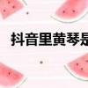 抖音里黃琴是真的嗎（抖音黃琴真實情況）