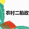 農村二胎政策是哪一年（農村二胎政策）