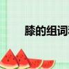 膝的組詞和拼音（膝的拼音和組詞）