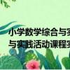 小學數學綜合與實踐活動課程實施研究（關于小學數學綜合與實踐活動課程實施研究簡介）