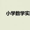 小學數學實踐（關于小學數學實踐簡介）