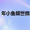 年小魚傾世微涼（關于年小魚傾世微涼介紹）