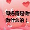 周揚青是做什么的,怎么那么有錢（周揚青是做什么的）