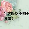 年少的心 不明不白的懂得（關于年少的心 不明不白的懂得介紹）