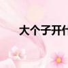 大個子開什么轎車（大個子開什么車）