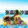 張嘉譯 沙溢 劉敏濤哪個臺（張嘉譯 沙溢 劉敏濤）
