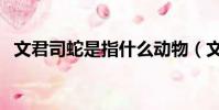 文君司蛇是指什么動物(文君司蛇的意思)