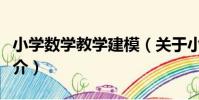 小學數學教學建模(關于小學數學教學建模簡介)