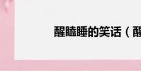 醒瞌睡的笑話(醒瞌睡)