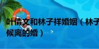 葉倩文和林子祥婚姻(林子祥和葉倩文什么時候離的婚)