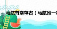 馬航有幸存者(馬航唯一幸存者被找到)